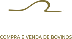 CompraBoi — Compra e venda de bovinos